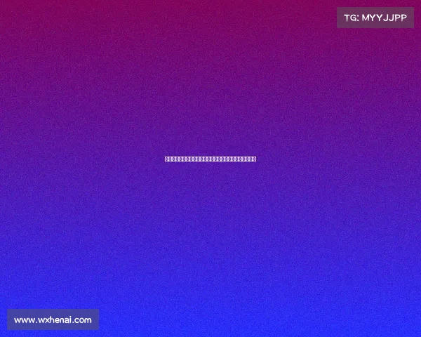 香港女排赛事激情开战强队云集精彩对决热血沸腾争创辉煌